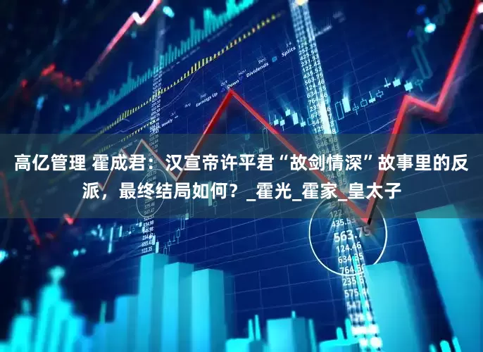 高亿管理 霍成君：汉宣帝许平君“故剑情深”故事里的反派，最终结局如何？_霍光_霍家_皇太子