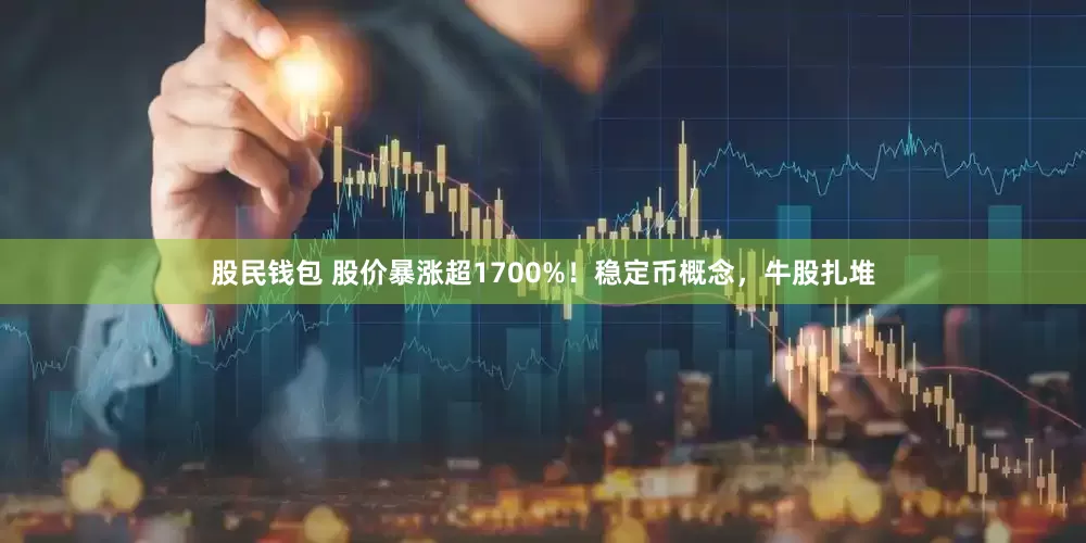 股民钱包 股价暴涨超1700%！稳定币概念，牛股扎堆