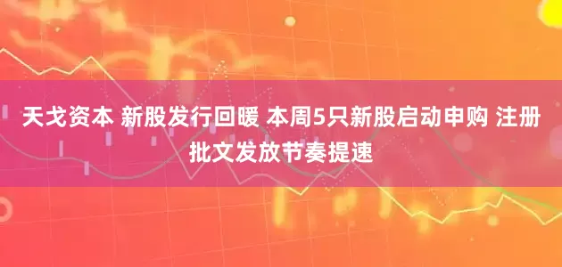 天戈资本 新股发行回暖 本周5只新股启动申购 注册批文发放节奏提速